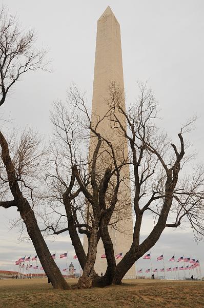DSC_2243.JPG