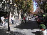 
street scene
